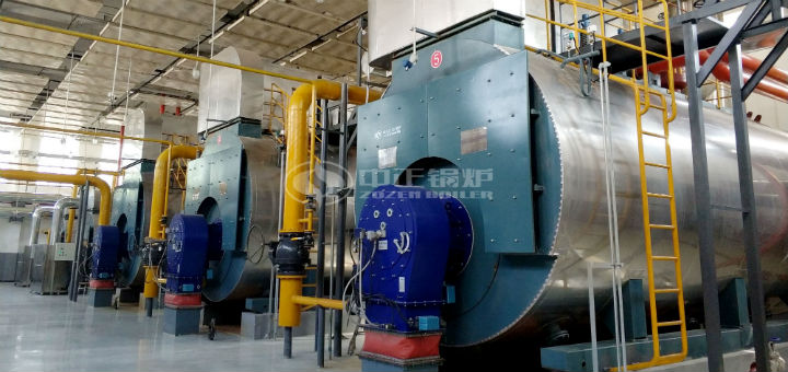 伊利乳業(yè)20噸燃?xì)庹羝仩t項目