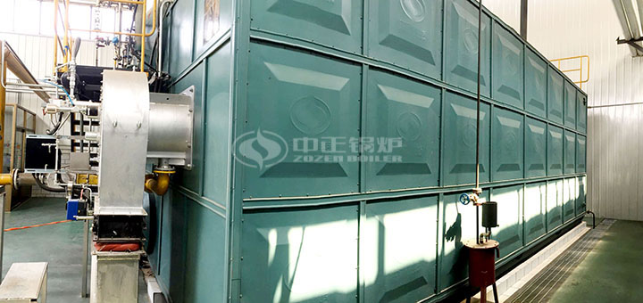 德利1600萬大卡有機熱載體爐項目